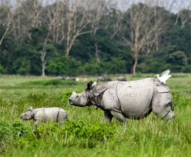 GettyImages-1142935571-4ae2c10eefee4315874f47fca1c85001